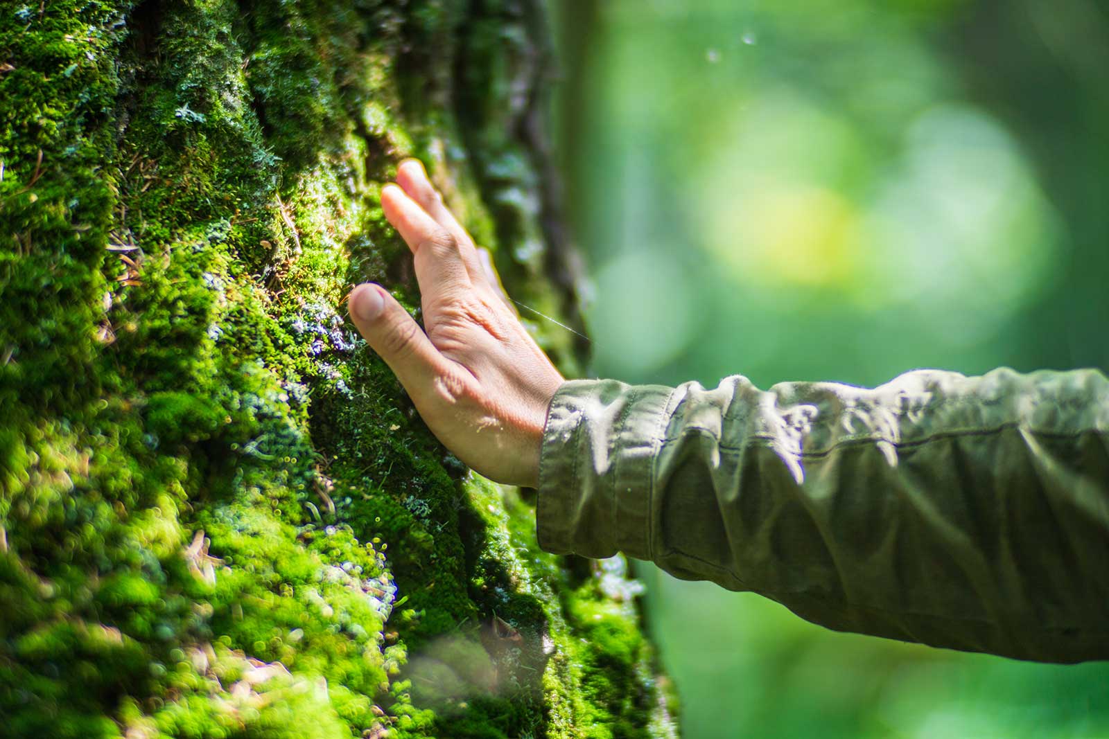 social print paper hand touching tree trunk caring about sustainability